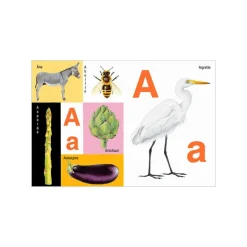 Boutiques de musées ABC de la nature Best