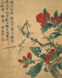 Toiles Sans Cadre|Toiles Encadrées<Boutiques de musées Album de douze feuilles : fleurs (toiles sans cadre)