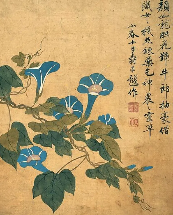 Toiles Sans Cadre|Toiles Sur Châssis<Boutiques de musées Album de douze feuilles : fleurs (toiles sans cadre)