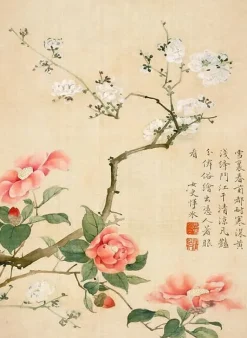 Boutiques de musées Album illustré de dix feuillets : Fleurs et insectes, dynastie Qing (toiles sur châssis) Online