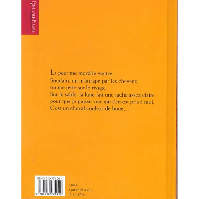 Livres Jeunesse<Boutiques de musées Album Le Cheval de la nuit