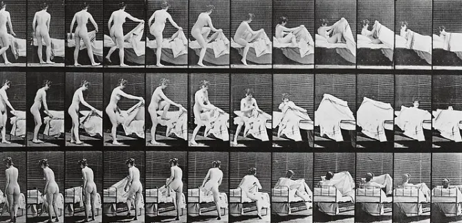 Panneaux Aluminium|Toiles Encadrées<Boutiques de musées Animal Locomotion : femme nue se coucha (panneaux aluminium)