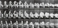 Boutiques de musées Animal Locomotion : femme nue se coucha (panneaux acryliques) Best