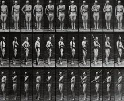 Boutiques de musées Animal Locomotion : homme au fusil (panneaux acryliques) New