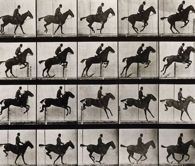 Toiles Sur Châssis|Toiles Sans Cadre<Boutiques de musées Animal Locomotion : Saut d'obstacle, cheval noir (toiles sur châssis)