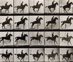 Boutiques de musées Animal Locomotion : Saut d'obstacle, cheval noir (panneaux aluminium) Sale