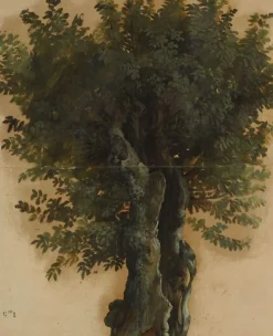 Boutiques de musées Arbres avec un tronc ouvert (panneaux aluminium) Hot