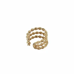 Boutiques de musées Bague du Trésor de Saint-Marc-le-Blanc Best