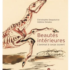 Boutiques de musées Beautés intérieures - L'animal à corps ouvert Online