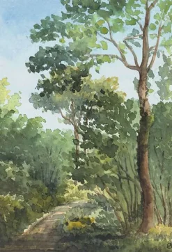 Boutiques de musées Bois de l'Etoile à Bois Guillaume (près de Rouen) (panneaux acryliques) New