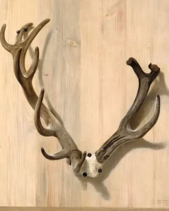 Boutiques de musées Bois d'un cerf attaqué à la Haute-Queue à Compiègne (toiles encadrées) Clearance