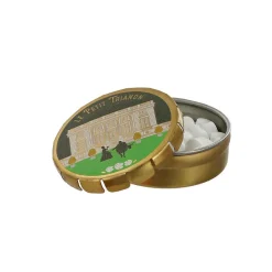Alimentaire<Boutiques de musées Boîte de bonbons saveur menthe - Le Petit Trianon Vert
