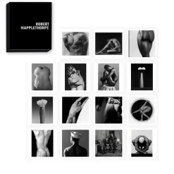 Cartes Et Marques Pages<Boutiques de musées Boîte de 15 cartes & enveloppes - Robert Mapplethorpe
