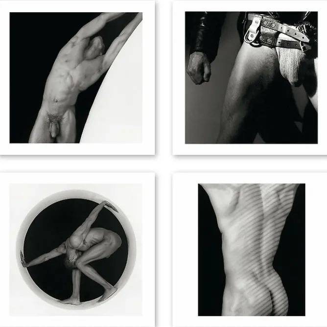 Cartes Et Marques Pages<Boutiques de musées Boîte de 15 cartes & enveloppes - Robert Mapplethorpe