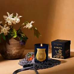 Boutiques de musées Bougie Classique 270g Ourika - Trudon Discount