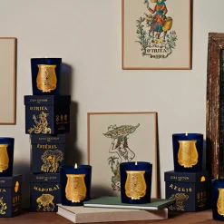 Boutiques de musées Bougie Classique 270g Ourika - Trudon Discount
