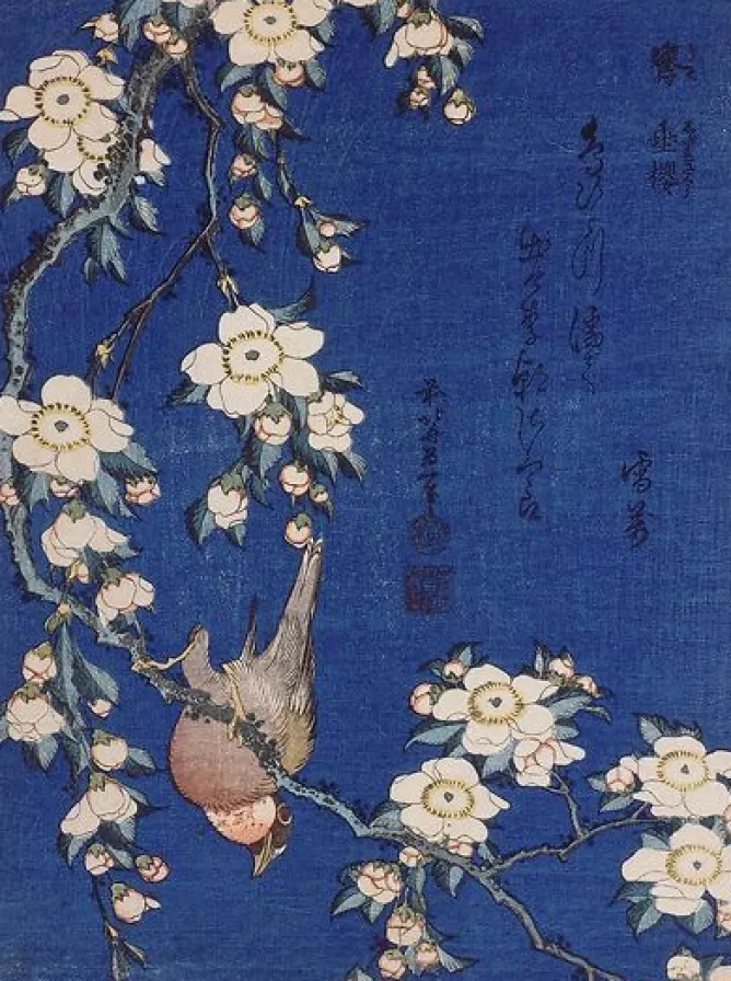 Affiches D'Art|Affiches D'Art Encadrées<Boutiques de musées Bouvreuil et cerisier pleureur en fleur (affiches d'art)