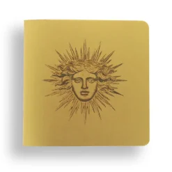 Cahiers Et Carnets<Boutiques de musées Cahier - Apollon ou Soleil