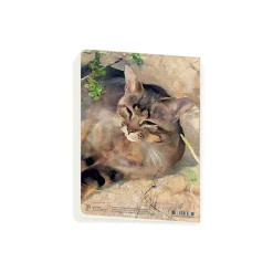 Cahiers Et Carnets<Boutiques de musées Cahier Bruno Liljefors - Le Chat Jeppe dormant au soleil du printemps, 1886