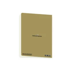 Cahiers Et Carnets<Boutiques de musées Cahier Château de Versailles - La Galerie des Glaces