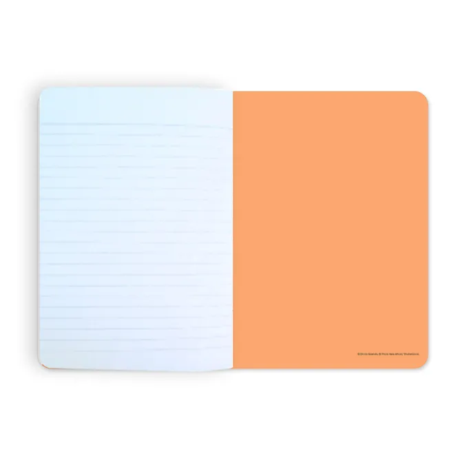 Cahiers Et Carnets<Boutiques de musées Cahier écolier Celebration