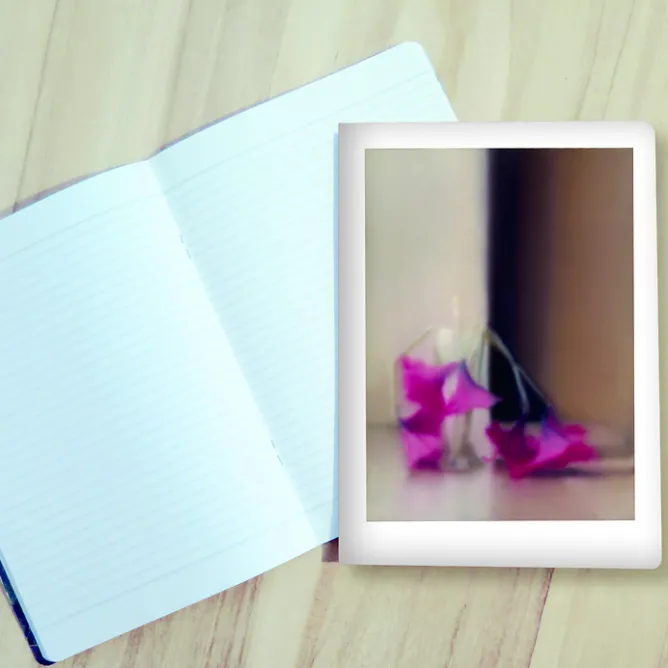 Cahiers Et Carnets<Boutiques de musées Cahier Gerhard Richter - Blumen, 1994