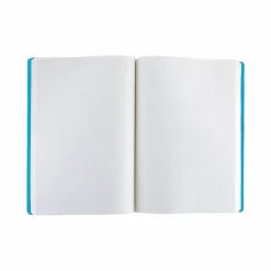 Boutiques de musées Cahier à élastique Alphonse Mucha - Documents décoratifs bleus (Planche n°30) Discount