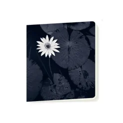 Cahiers Et Carnets<Boutiques de musées Cahier Michael Kenna - La fleur de lotus de Mamta, Viengkeo, Luang Prabang, Laos, 2015