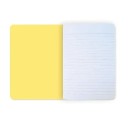 Cahiers Et Carnets<Boutiques de musées Cahier Picasso Iconophage