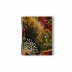Cahiers Et Carnets<Boutiques de musées Cahier à spirale Philip Henry Gosse - Anémones de mer et corail