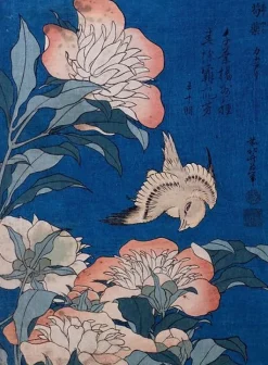Boutiques de musées Canari et pivoines (affiches d'art encadrées) Online