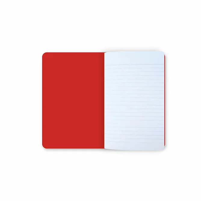 Boutiques de musées Carnet Anne Vallayer-Coster - Panaches de mer New