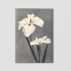 Cahiers Et Carnets<Boutiques de musées Carnet de notes - Fleurs japonaises