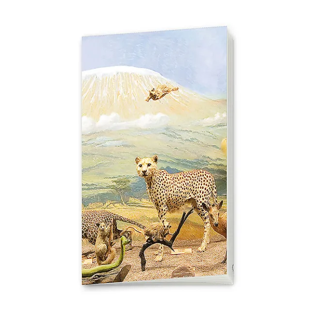 Boutiques de musées Carnet - Diorama du Kilimandjaro Clearance