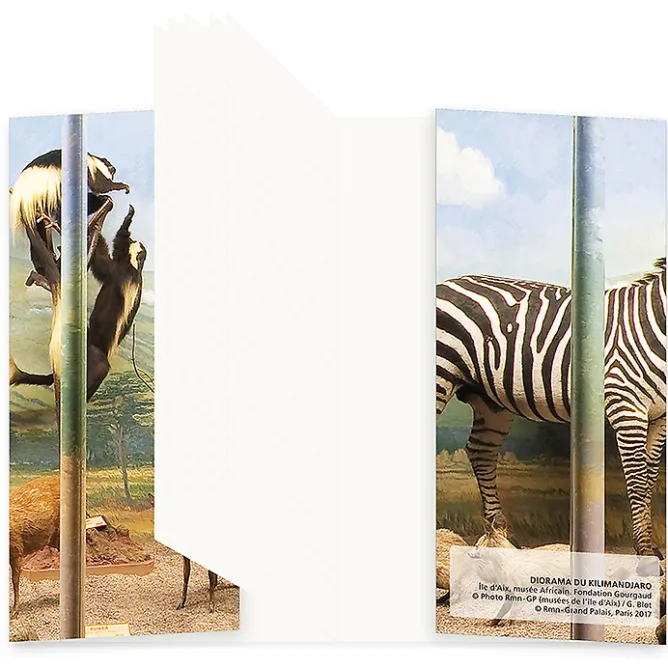 Boutiques de musées Carnet - Diorama du Kilimandjaro Clearance