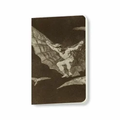Cahiers Et Carnets<Boutiques de musées Carnet Francisco de Goya y Lucientes - Une façon de voler, 1816-1823