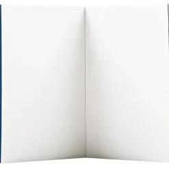 Boutiques de musées Carnet graphique Vagues Seigaiha Best