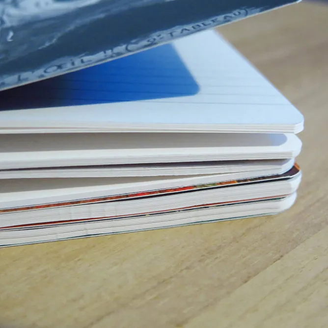 Cahiers Et Carnets<Boutiques de musées Carnet Guillermo Kuitca - Chapelle, Paris, 2024