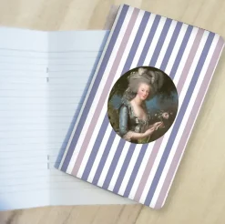 Boutiques de musées Carnet Élisabeth Louise Vigée Le Brun - Portrait de la reine Marie-Antoinette dit « à la rose », 1783 Online