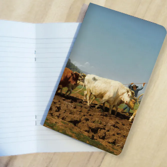 Cahiers Et Carnets<Boutiques de musées Carnet Rosa Bonheur - Labourage nivernais dit aussi Le Sombrage