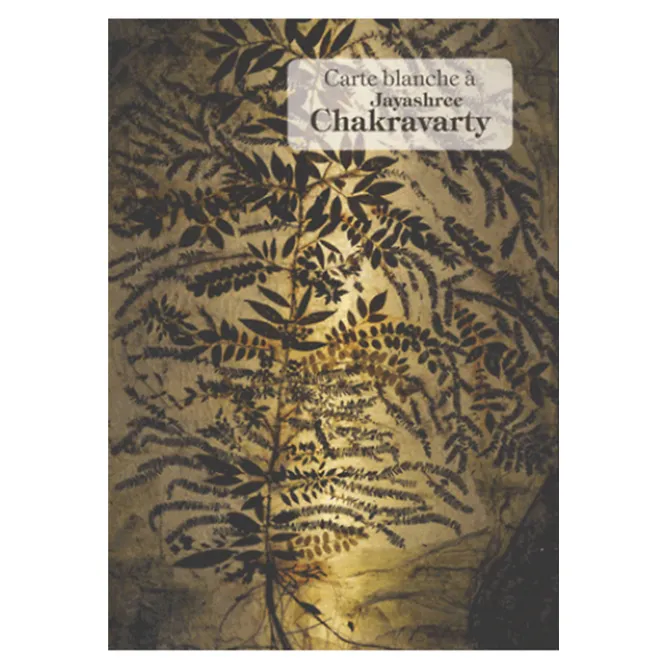 Catalogues D'Exposition<Boutiques de musées Carte blanche à Jayashree Chakravarty