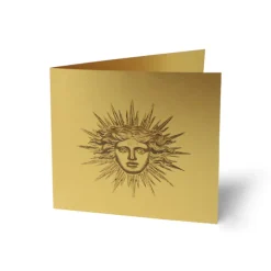 Cartes Et Marques Pages<Boutiques de musées Carte double avec enveloppe - Apollon ou Soleil
