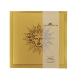 Cartes Et Marques Pages<Boutiques de musées Carte double avec enveloppe - Apollon ou Soleil