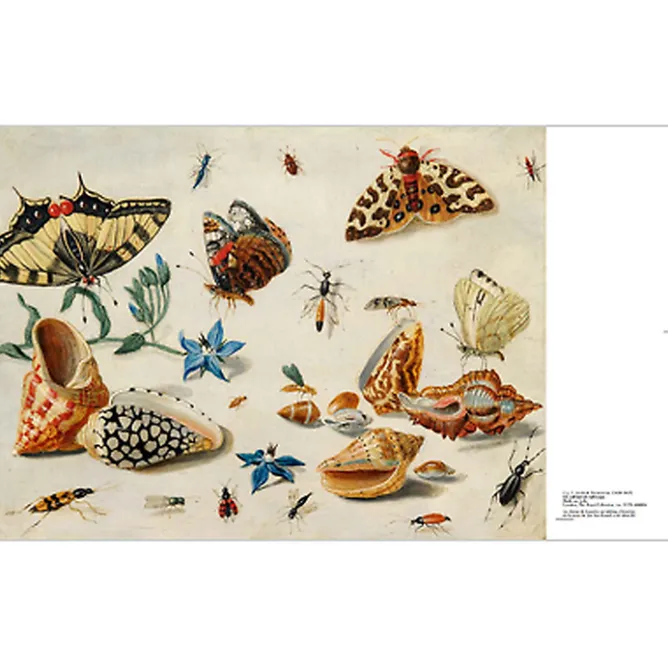 Boutiques de musées Catalogue d'exposition - Beauté Animale Best