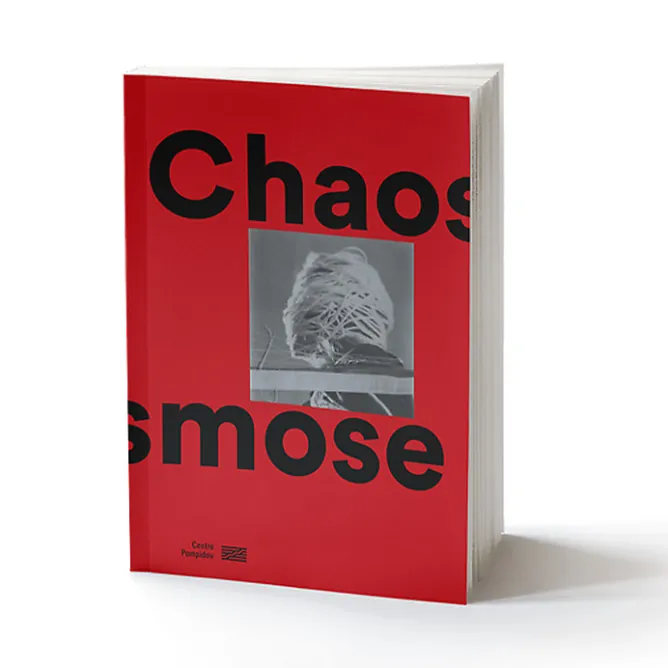 Catalogues D'Exposition<Boutiques de musées Chaosmose - Catalogue de l'exposition