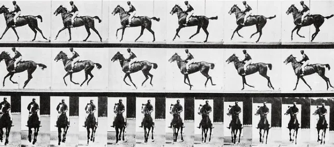 Affiches D'Art|Toiles Sans Cadre<Boutiques de musées Cheval au galop (affiches d'art)
