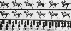 Boutiques de musées Cheval au galop (affiches d'art encadrées) Best