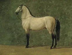 Boutiques de musées Cheval de Napoléon 1er "le Familier" (panneaux aluminium) New