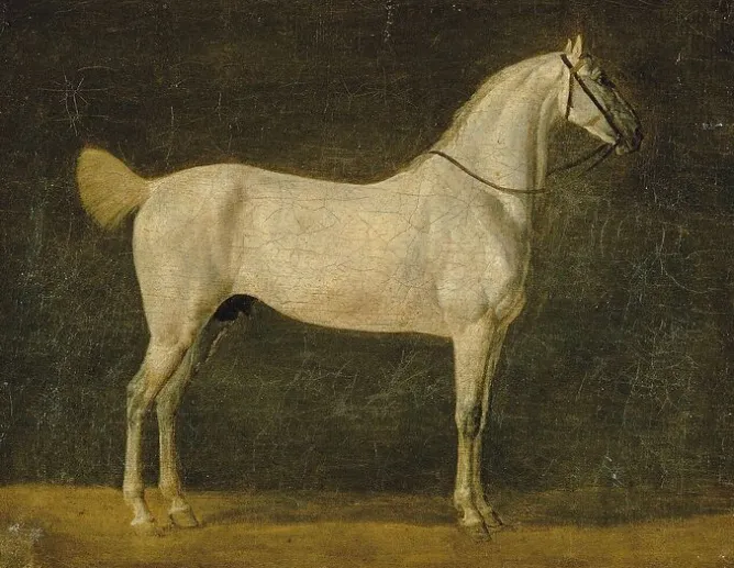 Toiles Encadrées|Toiles Sur Châssis<Boutiques de musées Cheval de Napoléon "le Distingué" (toiles encadrées)