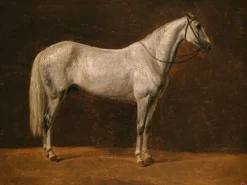 Boutiques de musées Cheval de Napoléon : "Le Sahara" (toiles encadrées) Outlet